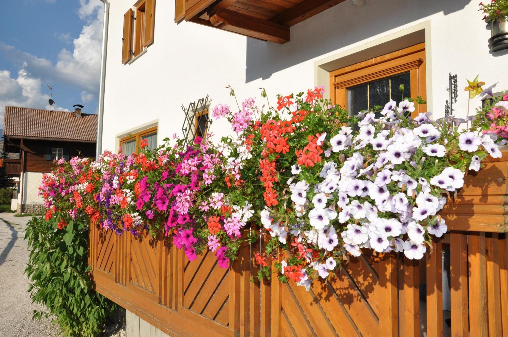 Appartements Wiesenheim Oberrasen Exteriör bild